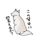 話を聞かないウチの犬（個別スタンプ：18）