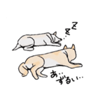 話を聞かないウチの犬（個別スタンプ：22）