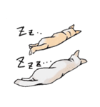 話を聞かないウチの犬（個別スタンプ：23）