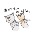 話を聞かないウチの犬（個別スタンプ：24）