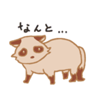 たぬき1（個別スタンプ：4）