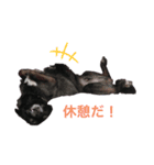 みなみクック（個別スタンプ：4）