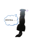 みなみクック（個別スタンプ：5）