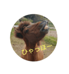くう＆沖（個別スタンプ：5）