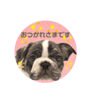 フレブルOGAIの毎日スタンプ（個別スタンプ：4）