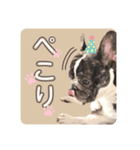 フレブルOGAIの毎日スタンプ（個別スタンプ：5）