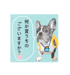 フレブルOGAIの毎日スタンプ（個別スタンプ：8）