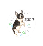 フレブルOGAIの毎日スタンプ（個別スタンプ：9）