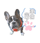 フレブルOGAIの毎日スタンプ（個別スタンプ：12）