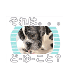 フレブルOGAIの毎日スタンプ（個別スタンプ：14）
