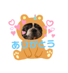 フレブルOGAIの毎日スタンプ（個別スタンプ：21）
