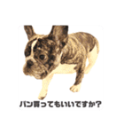 フレブルOGAIの毎日スタンプ（個別スタンプ：33）