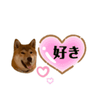大福の大ちゃん柴犬スタンプ（個別スタンプ：13）