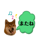 大福の大ちゃん柴犬スタンプ（個別スタンプ：18）