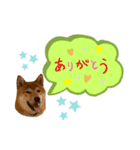 大福の大ちゃん柴犬スタンプ（個別スタンプ：28）