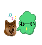 大福の大ちゃん柴犬スタンプ（個別スタンプ：36）
