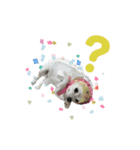 私欲スタンプ（個別スタンプ：5）