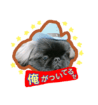 ポプラだよ！（個別スタンプ：1）