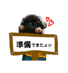 ポプラだよ！（個別スタンプ：3）