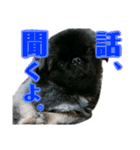 ポプラだよ！（個別スタンプ：8）