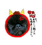ポプラだよ！（個別スタンプ：10）
