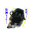 ポプラだよ！（個別スタンプ：14）