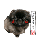 ポプラだよ！（個別スタンプ：17）
