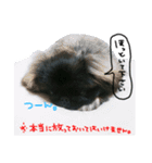 ポプラだよ！（個別スタンプ：19）