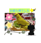 みんなのスタンプ②（個別スタンプ：10）