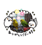 みんなのスタンプ②（個別スタンプ：16）