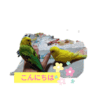 みんなのスタンプ②（個別スタンプ：19）