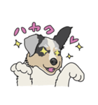 家に帰れば、ベルン❤️スタンプ（個別スタンプ：8）