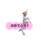 ジャックのポピィスタンプ（個別スタンプ：12）