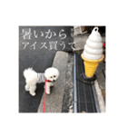 ポポンぬ（季節物）（個別スタンプ：4）