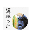 ポポンぬ（季節物）（個別スタンプ：15）