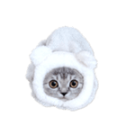 ねこのこねこーん(vivid)（個別スタンプ：5）
