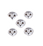 ねこのこねこーん(vivid)（個別スタンプ：8）