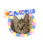 私！モモちゃん（個別スタンプ：2）