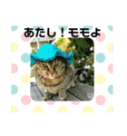 私！モモちゃん（個別スタンプ：6）