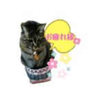 私！モモちゃん（個別スタンプ：7）