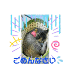 私！モモちゃん（個別スタンプ：12）