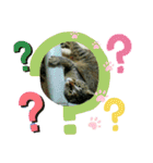 私！モモちゃん（個別スタンプ：14）