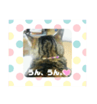 私！モモちゃん（個別スタンプ：16）