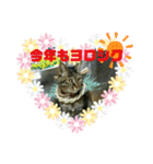 私！モモちゃん（個別スタンプ：22）