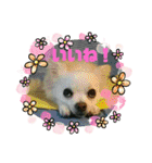 私！モモちゃん（個別スタンプ：31）