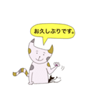 猫のいち（個別スタンプ：8）