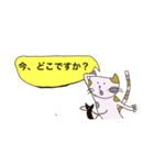 猫のいち（個別スタンプ：16）