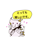 猫のいち（個別スタンプ：20）