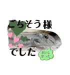 可愛いシマドジョウ5（個別スタンプ：2）