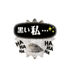 可愛いシマドジョウ5（個別スタンプ：8）